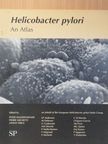 Mario Quina - Helicobacter pylori [antikvár]
