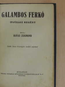 Havas Zsigmond - Galambos Ferkó [antikvár]