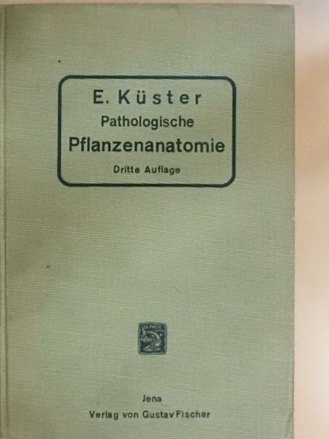 Dr. Ernst Küster - Pathologische Pflanzenanatomie [antikvár]