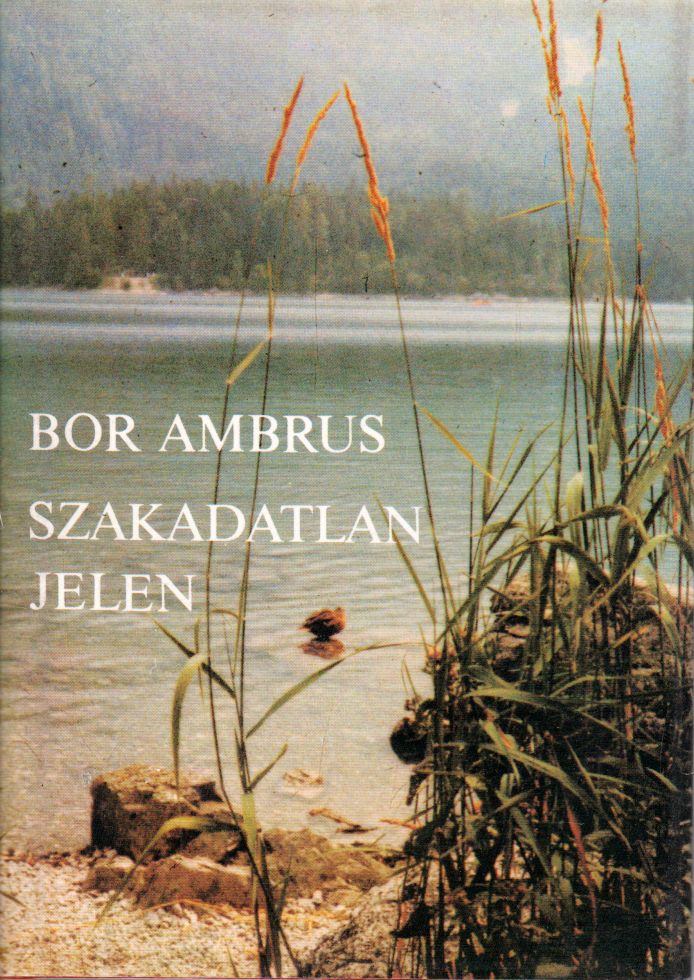 BOR AMBRUS - Szakadatlan jelen [antikvár]