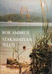 BOR AMBRUS - Szakadatlan jelen [antikvár]