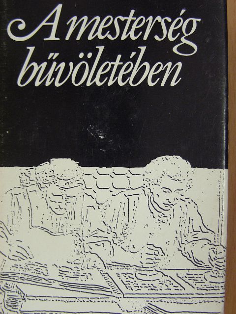 A mesterség bűvöletében [antikvár]