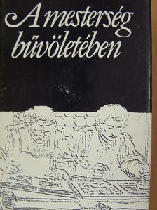 A mesterség bűvöletében [antikvár]