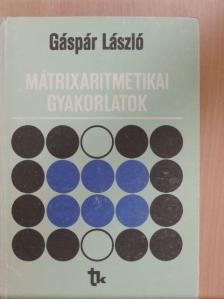 Dr. Gáspár László - Mátrixaritmetikai gyakorlatok [antikvár]