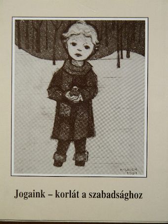 Kondorosi Ferenc - Jogaink - korlát a szabadsághoz [antikvár]