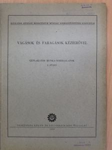 Csomós Zoltán - Vágások és faragások kézierővel [antikvár]