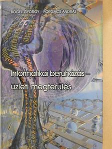 Bőgel György - Informatikai beruházás - üzleti megtérülés [antikvár]