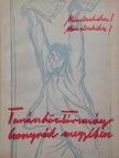 Fazekas László - Tanácsköztársaság Csongrád megyében [antikvár]