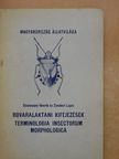 Dr. Steinmann Henrik - Rovaralaktani kifejezések-terminologia insectorum morphologica [antikvár]