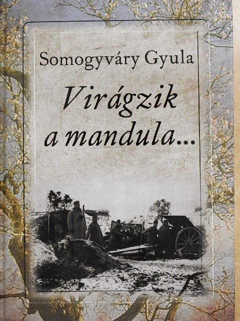 Somogyváry Gyula - Virágzik a mandula... [antikvár]
