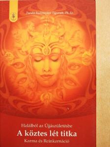 Ph. D. Pandit Radzsmani Tigunait - A köztes lét titka [antikvár]