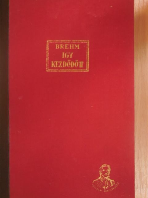 Bruno Brehm - Igy kezdődött [antikvár]