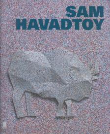 David Galloway - Sam Havadtoy [antikvár]