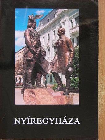Dr. Bene János - Nyíregyháza [antikvár]
