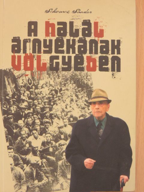 Schwarcz Sándor - A halál árnyékának völgyében [antikvár]