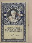 Dr. Babura László - Szent József elmélkedések az ő litániája alapján [antikvár]