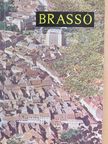 Petre Salcudeanu - Brassó [antikvár]