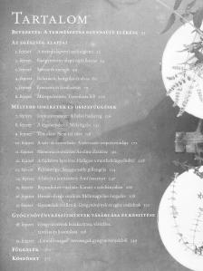 Maria Noël Groves - A szervezet egyensúlya [antikvár]