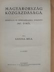 Katona Béla - Magyarország közgazdasága 1917. II. [antikvár]