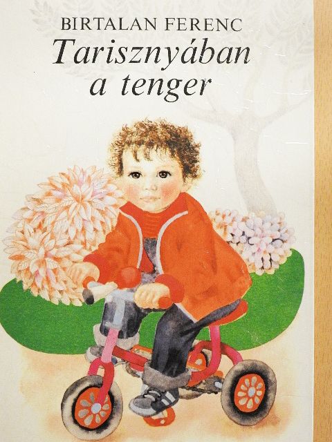 Birtalan Ferenc - Tarisznyában a tenger [antikvár]