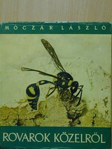 Móczár László - Rovarok közelről... [antikvár]
