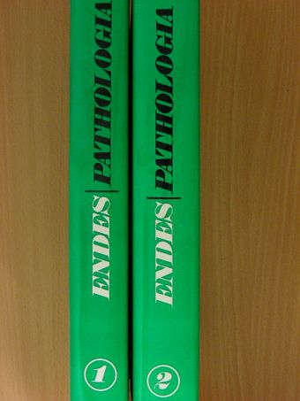 Dr. Endes Pongrác - Pathologia 1-2. [antikvár]