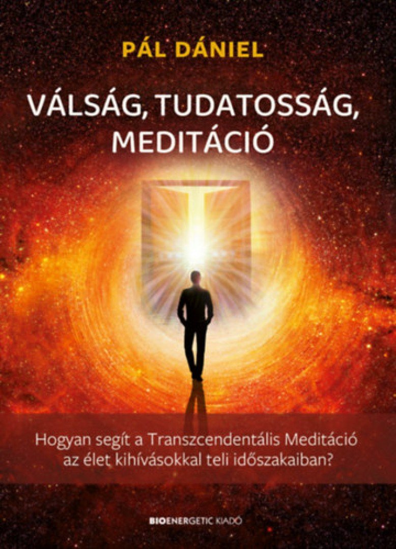 Pál Dániel - Válság, tudatosság, meditáció [antikvár]