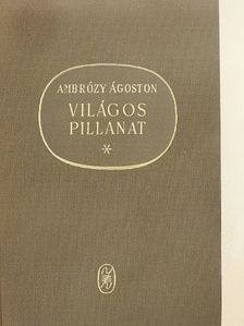 Ambrózy Ágoston - Világos pillanat [antikvár]