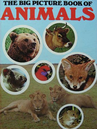 The Big Picture Book of Animals [antikvár]