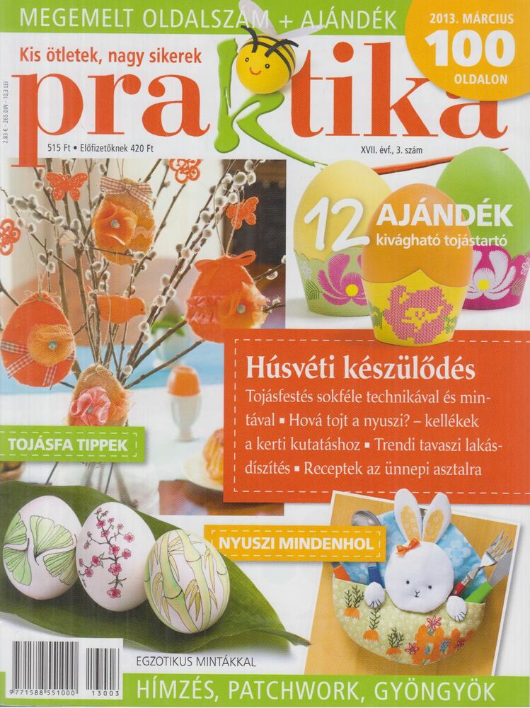 Boda Ildikó (főszerk.) - Praktika 2013. március [antikvár]