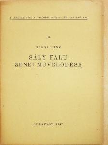 Barsi Ernő - Sály falu zenei művelődése [antikvár]