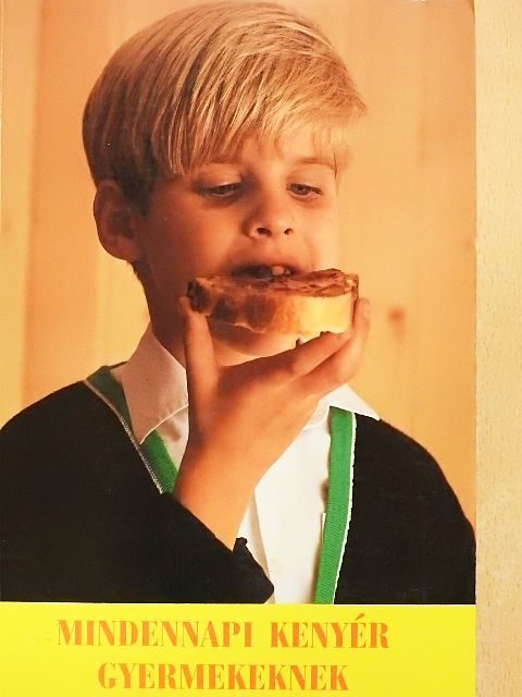 Mindennapi kenyér gyermekeknek [antikvár]