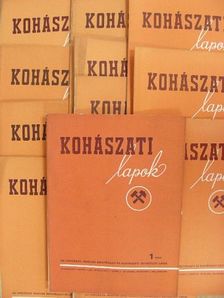 Kohászati Lapok 1952. január-december [antikvár]