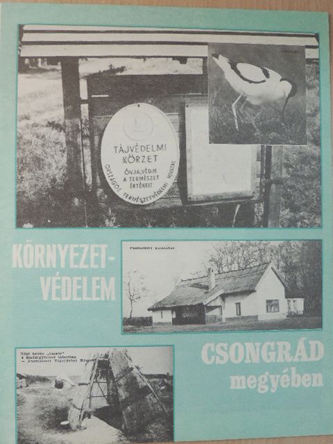 Bőle István - Környezetvédelem Csongrád megyében [antikvár]