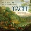 JOHANN ERNST BACH - 6 SONATAS FOR VIOLIN & FORTEPIANO