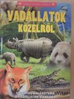 Vadállatok közelről [antikvár]
