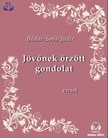 Bódai-Soós Judit - Jövőnek őrzött gondolat [eKönyv: epub, mobi]