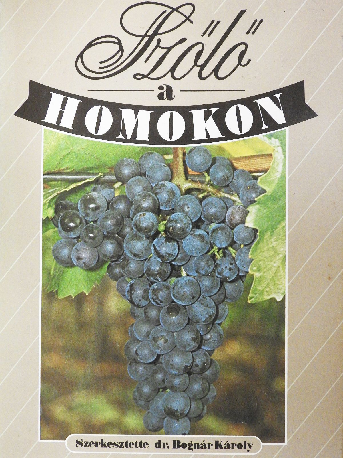André János - Szőlő a homokon (dedikált példány) [antikvár]