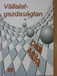 Chikán Attila - Vállalatgazdaságtan [antikvár]