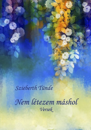 Szieberth Tünde - Nem létezem máshol [eKönyv: epub, mobi]