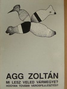 Agg Zoltán - Mi lesz veled vármegye? [antikvár]