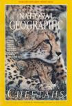William L. Allen (főszerk.) - National Geographic 1999 December [antikvár]