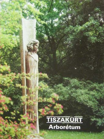 Dr. Debreczy Zsolt - Tiszakürt - Arborétum [antikvár]