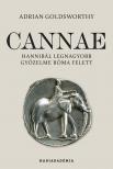 Adrian Goldsworthy - Cannae