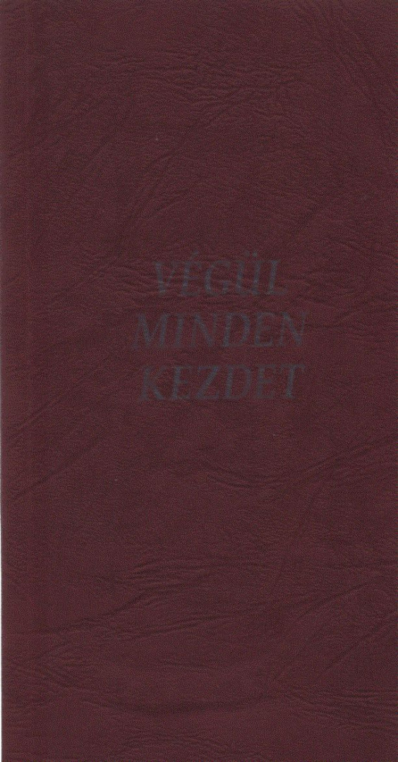 Kosinsky Ágnes - Végül minden kezdet [antikvár]