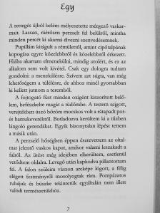 Sáfrán Judit - Az írisz emlékei [antikvár]