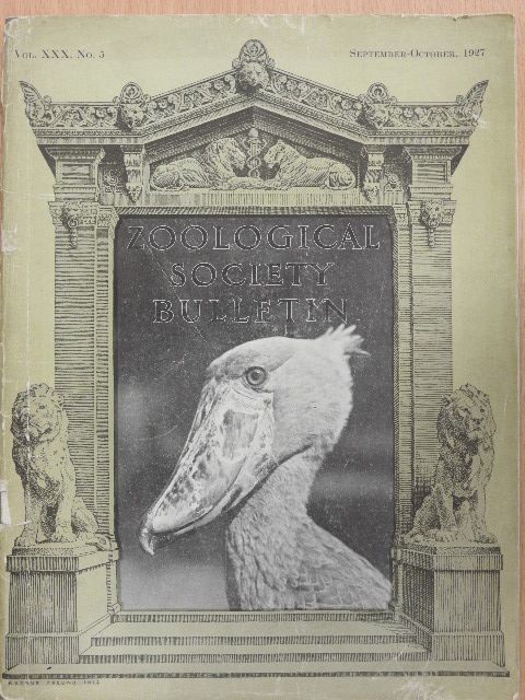 William Beebe - Zoological Society Bulletin September-October, 1927. [antikvár]