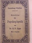 Dr. G. F. Lipps - Grundriss der Psychophysik [antikvár]