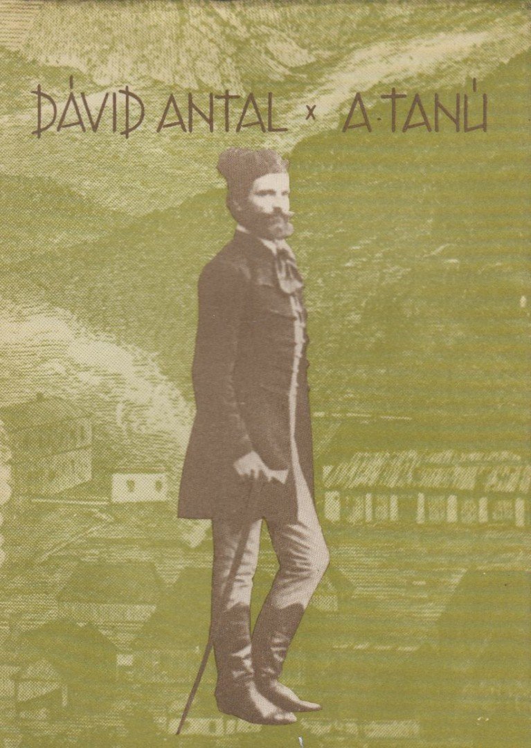 DÁVID ANTAL - A tanú [antikvár]