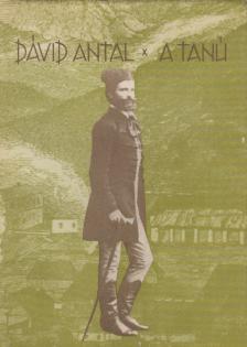 DÁVID ANTAL - A tanú [antikvár]